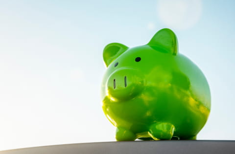 緑色の豚の貯金箱