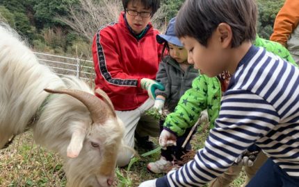 NPO法人環境保全教育研究所