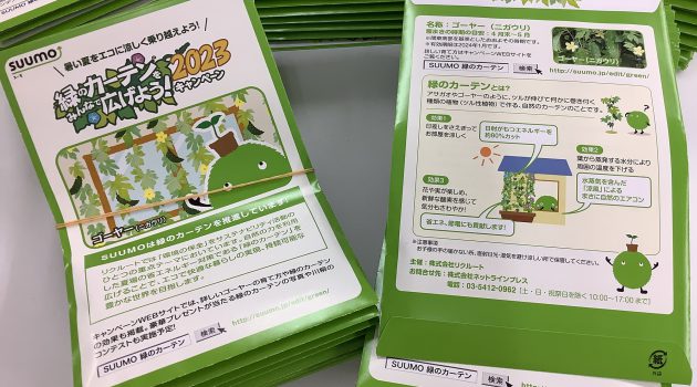 緑のカーテンの種を配布します!