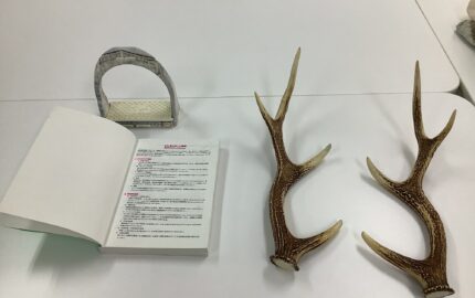 令和5年度 11月サステなひろば「動物と共に生きる社会の多様性を考えよう!」~鹿の角、猪の牙、馬の蹄鉄に触れながら~(11/15)