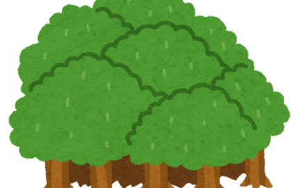 13：00～14：30森の木あそび　サステナひろば