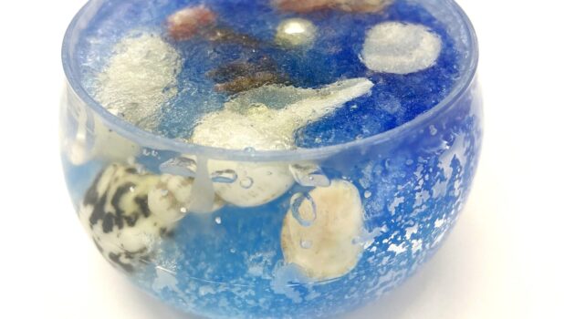 サステナひろば「保冷剤リサイクル！夏の害虫退治」を開催しました（8/20）